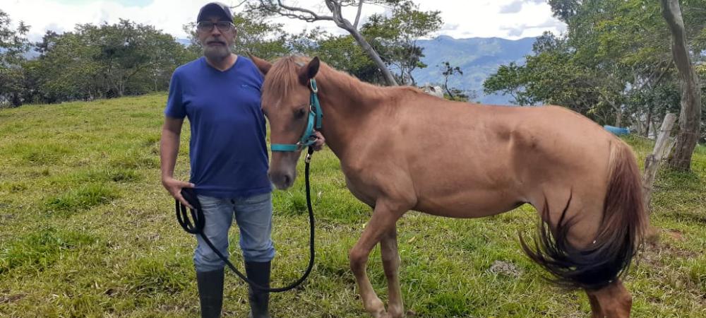 La Alcaldía de Medellín recupera e inicia procesos de adopción con especies mayores